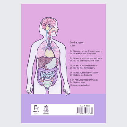Human Body System