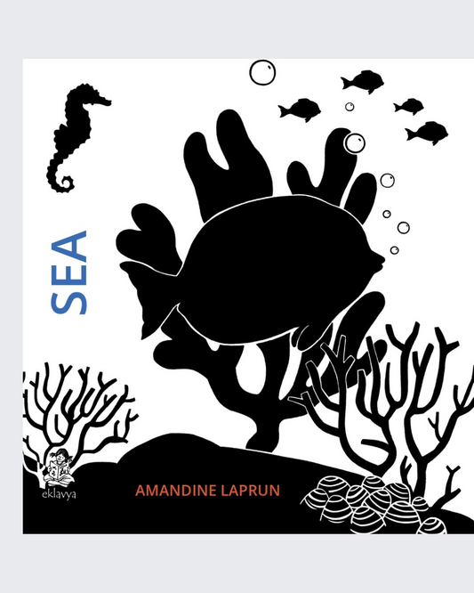 SEA (Sliding Board Book)