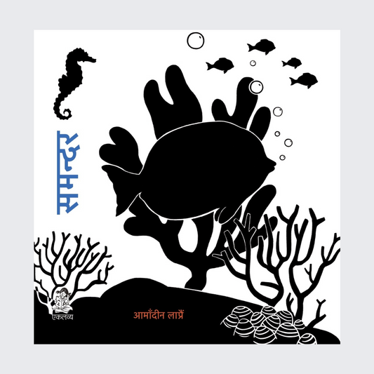 Samandar (Sliding Board Book)
